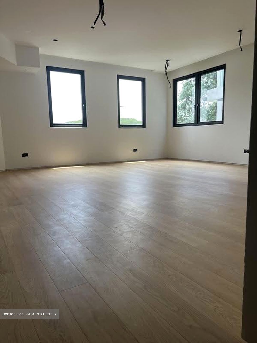 Watten Estate (D11), Detached #610265921